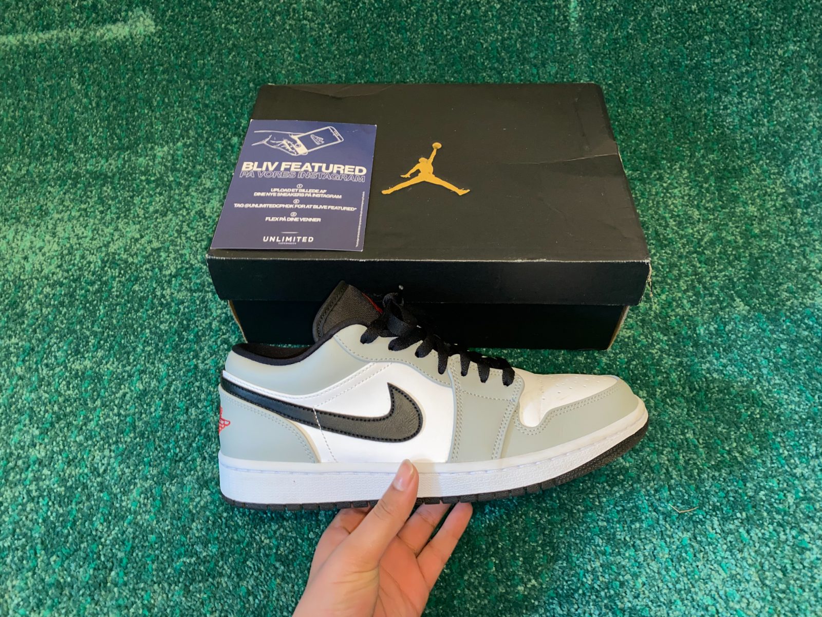 Nike Jordan Low